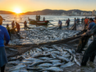 Suspensão da Pesca da Tainha em Santa Catarina