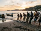 Pesca da Tainha em Santa Catarina tradição artesanal